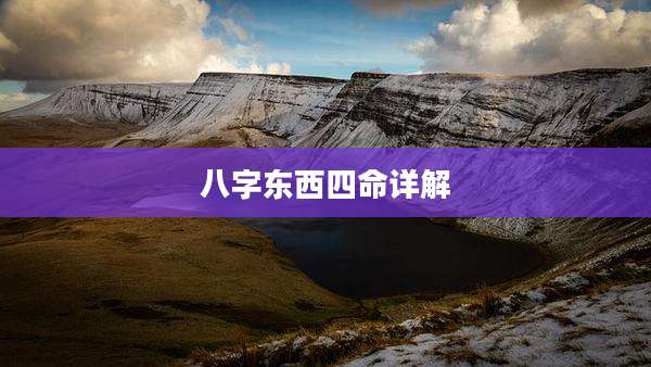 八字东西四命详解