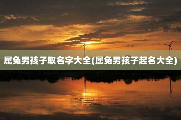 属兔男孩子取名字大全(属兔男孩子起名大全)