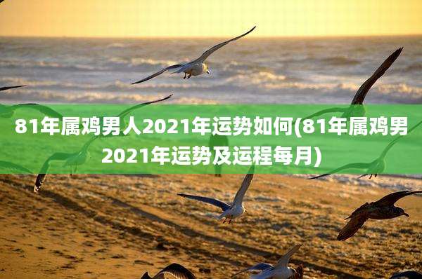 81年属鸡男人2021年运势如何(81年属鸡男2021年运势及运程每月)