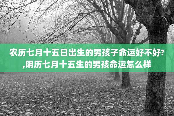 农历七月十五日出生的男孩子命运好不好?,阴历七月十五生的男孩命运怎么样