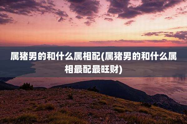 属猪男的和什么属相配(属猪男的和什么属相最配最旺财)
