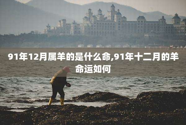 91年12月属羊的是什么命,91年十二月的羊命运如何