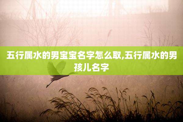 五行属水的男宝宝名字怎么取,五行属水的男孩儿名字