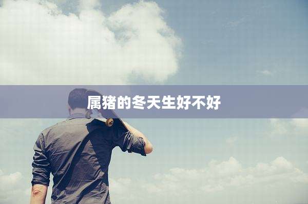 属猪的冬天生好不好