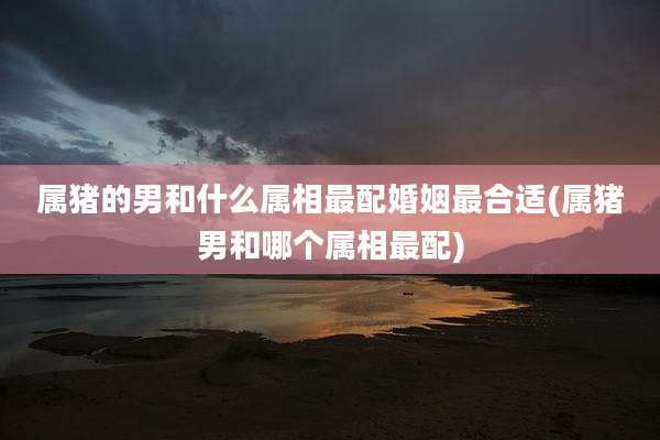属猪的男和什么属相最配婚姻最合适(属猪男和哪个属相最配)