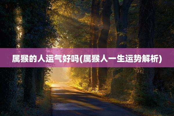 属猴的人运气好吗(属猴人一生运势解析)