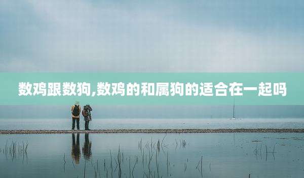 数鸡跟数狗,数鸡的和属狗的适合在一起吗