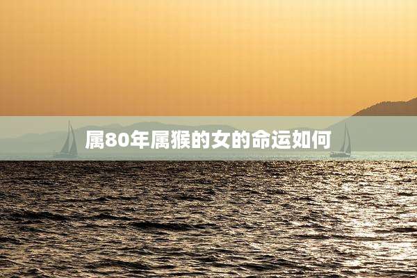 属80年属猴的女的命运如何
