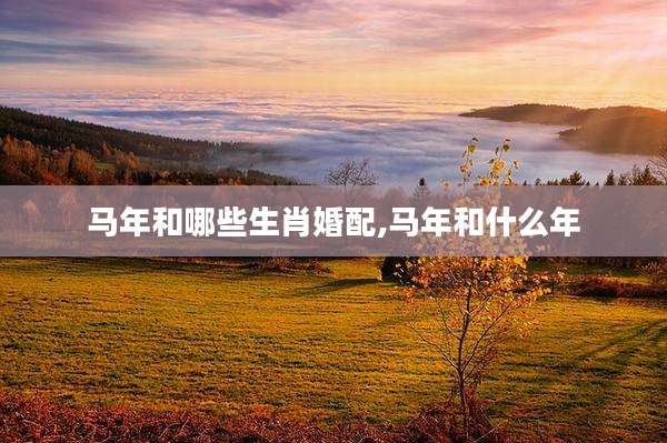 马年和哪些生肖婚配,马年和什么年
