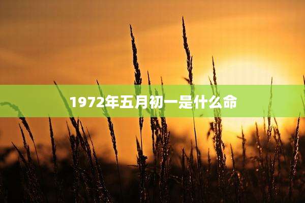 1972年五月初一是什么命
