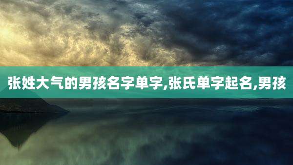 张姓大气的男孩名字单字,张氏单字起名,男孩