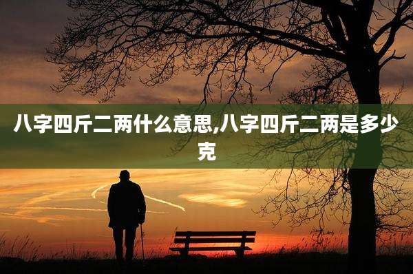八字四斤二两什么意思,八字四斤二两是多少克