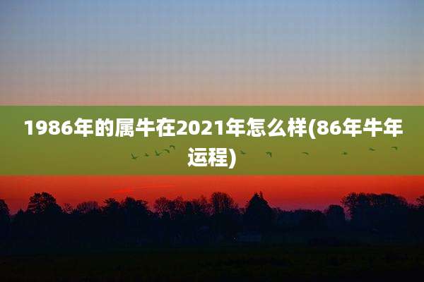 1986年的属牛在2021年怎么样(86年牛年运程)