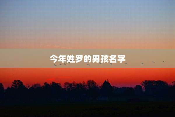 今年姓罗的男孩名字