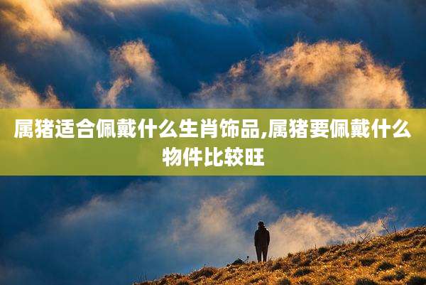 属猪适合佩戴什么生肖饰品,属猪要佩戴什么物件比较旺