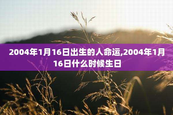 2004年1月16日出生的人命运,2004年1月16日什么时候生日