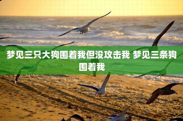 梦见三只大狗围着我但没攻击我 梦见三条狗围着我