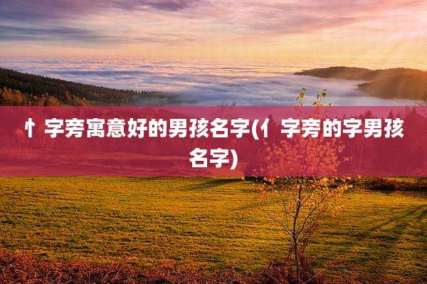忄字旁寓意好的男孩名字(亻字旁的字男孩名字)