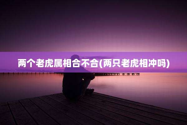 两个老虎属相合不合(两只老虎相冲吗)