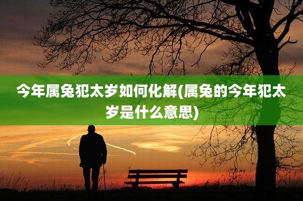 今年属兔犯太岁如何化解(属兔的今年犯太岁是什么意思)