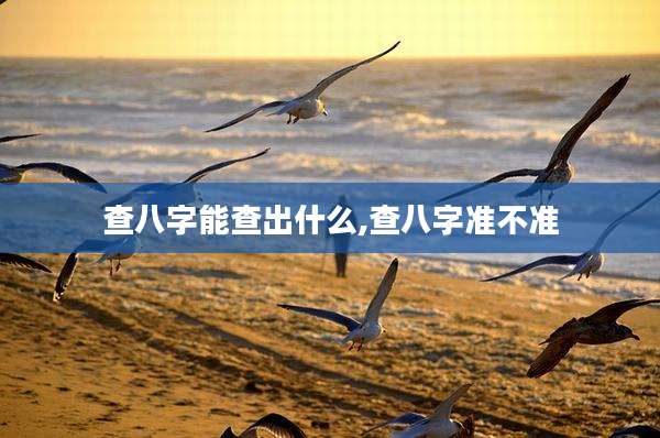 查八字能查出什么,查八字准不准