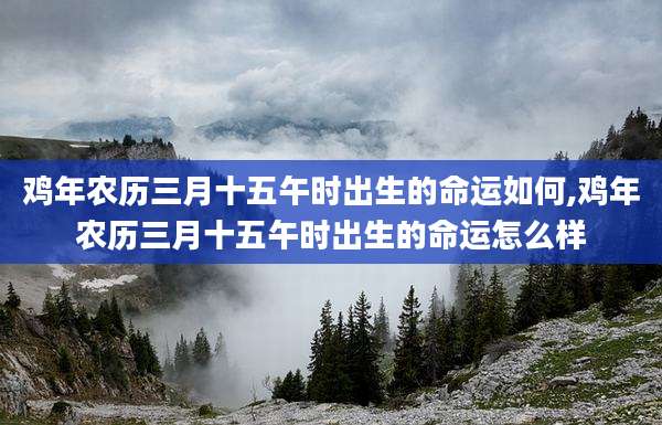鸡年农历三月十五午时出生的命运如何,鸡年农历三月十五午时出生的命运怎么样