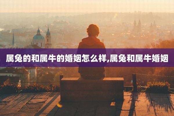 属兔的和属牛的婚姻怎么样,属兔和属牛婚姻