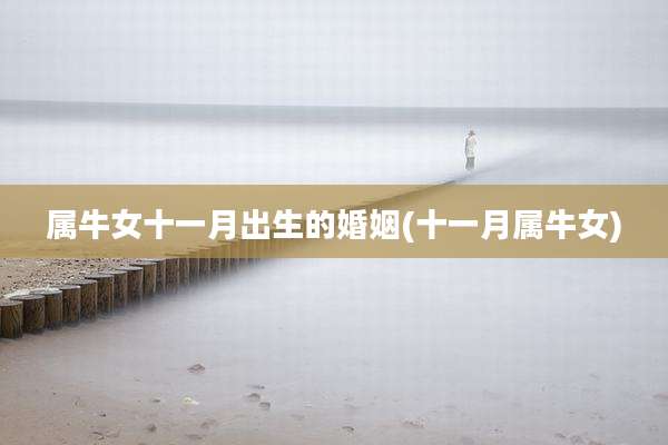 属牛女十一月出生的婚姻(十一月属牛女)