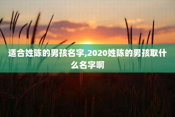 适合姓陈的男孩名字,2020姓陈的男孩取什么名字啊