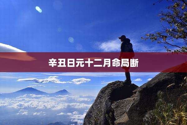 辛丑日元十二月命局断