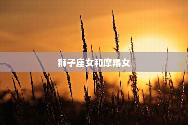 狮子座女和摩羯女
