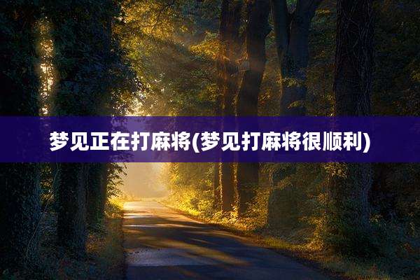 梦见正在打麻将(梦见打麻将很顺利)