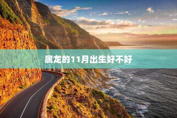 属龙的11月出生好不好