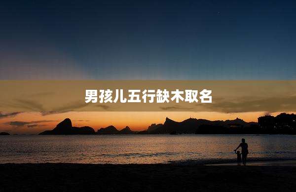 男孩儿五行缺木取名