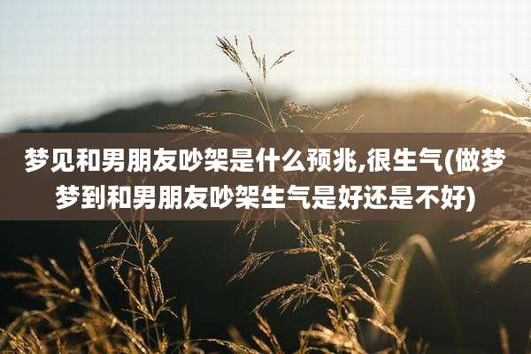 梦见和男朋友吵架是什么预兆,很生气(做梦梦到和男朋友吵架生气是好还是不好)