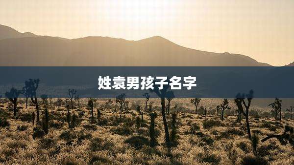 姓袁男孩子名字