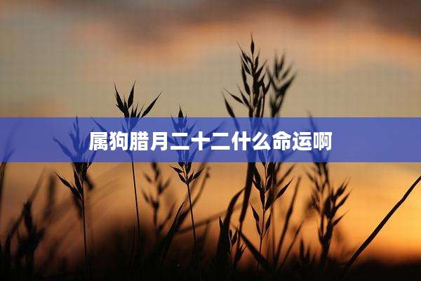 属狗腊月二十二什么命运啊