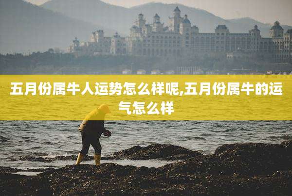 五月份属牛人运势怎么样呢,五月份属牛的运气怎么样