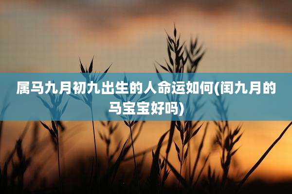属马九月初九出生的人命运如何(闰九月的马宝宝好吗)