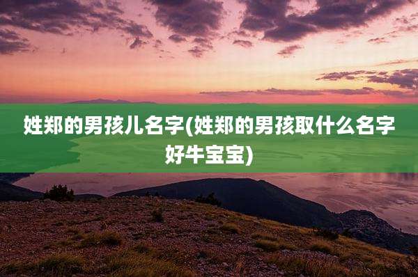 姓郑的男孩儿名字(姓郑的男孩取什么名字好牛宝宝)
