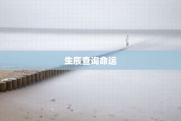 生辰查询命运