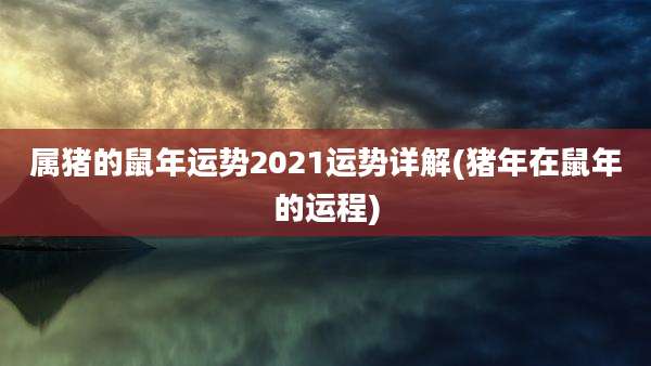 属猪的鼠年运势2021运势详解(猪年在鼠年的运程)