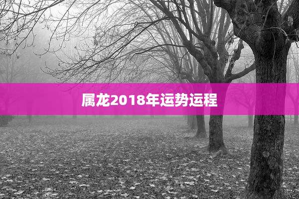 属龙2018年运势运程