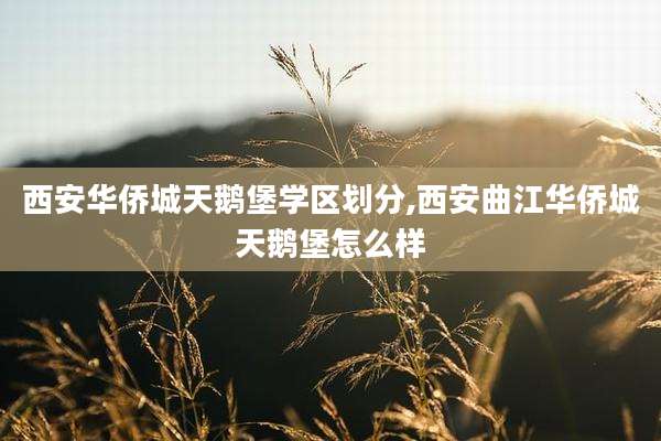 西安华侨城天鹅堡学区划分,西安曲江华侨城天鹅堡怎么样