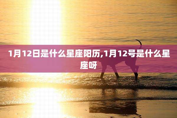 1月12日是什么星座阳历,1月12号是什么星座呀