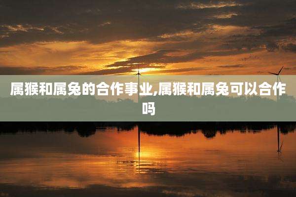 属猴和属兔的合作事业,属猴和属兔可以合作吗