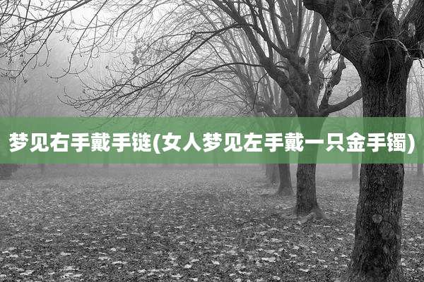 梦见右手戴手链(女人梦见左手戴一只金手镯)