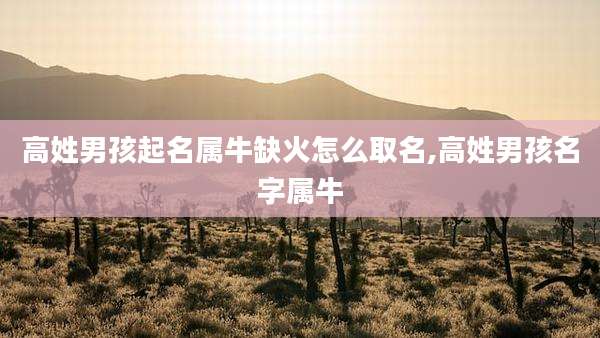 高姓男孩起名属牛缺火怎么取名,高姓男孩名字属牛