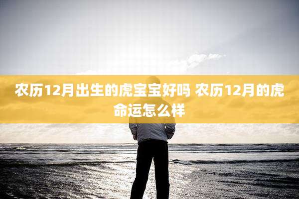 农历12月出生的虎宝宝好吗 农历12月的虎命运怎么样