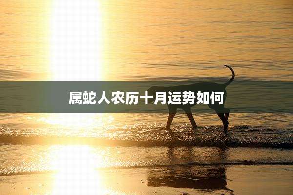 属蛇人农历十月运势如何